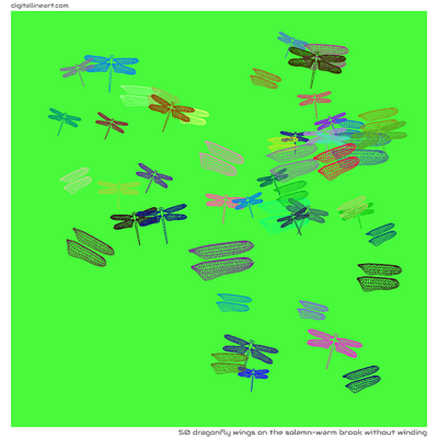 The Solemn-warm Brook without Winding — 50 dragonfly wings