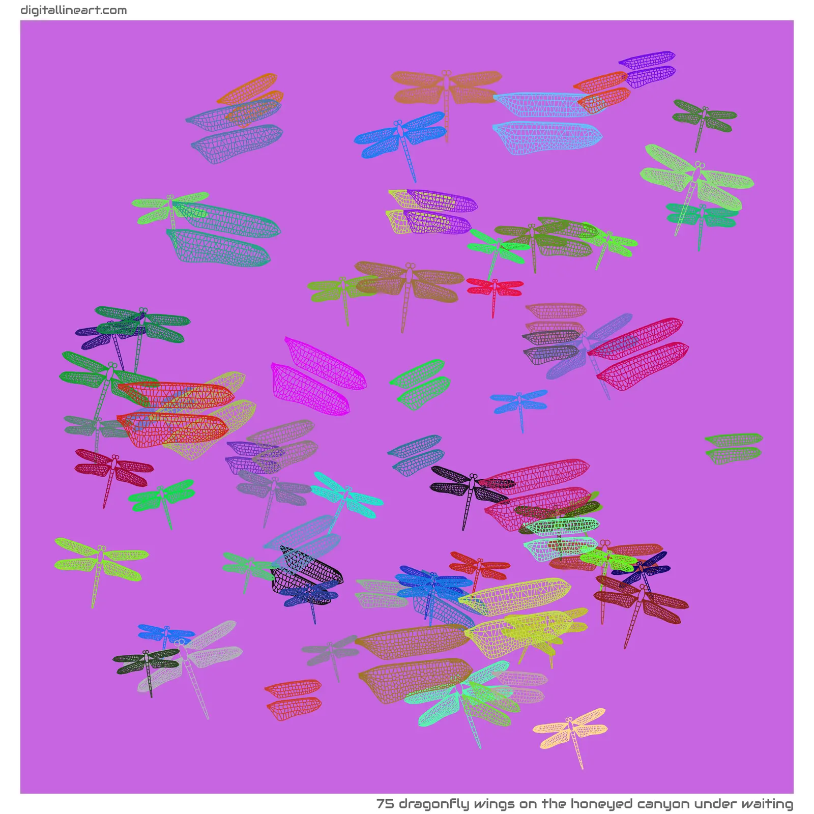 The Honeyed Canyon under Waiting — 75 dragonfly wings