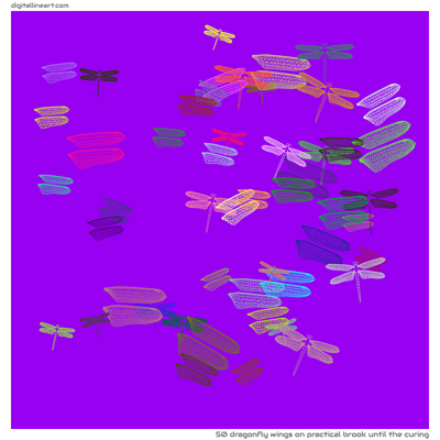 Practical Brook until the Curing — 50 dragonfly wings