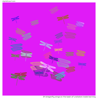 The Basin of Unshaken Inside Learning — 34 dragonfly wings
