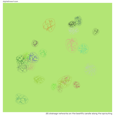 The Beatific Candle along the Sprouting — 25 drainage networks