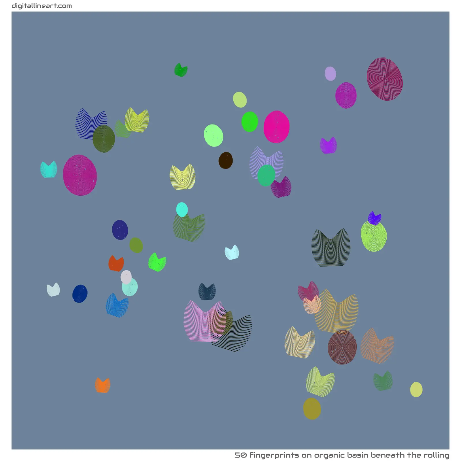 Organic Basin beneath the Rolling — 50 fingerprints