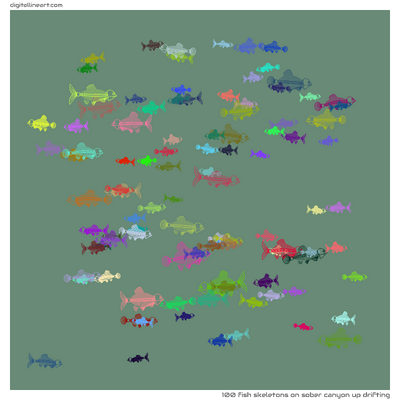 Sober Canyon up Drifting — 100 fish skeletons