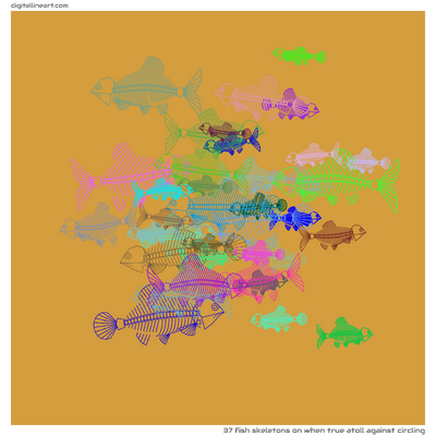 When True Atoll Against Circling — 37 fish skeletons