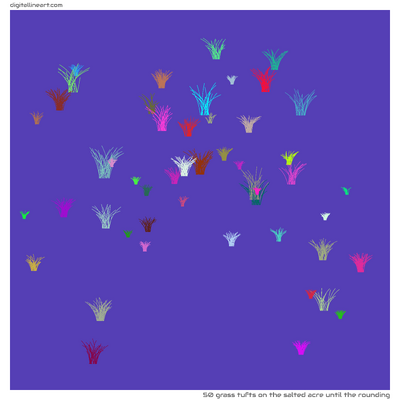 The Salted Acre until the Rounding — 50 grass tufts