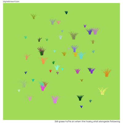 When the Husky Atoll alongside Following — 50 grass tufts