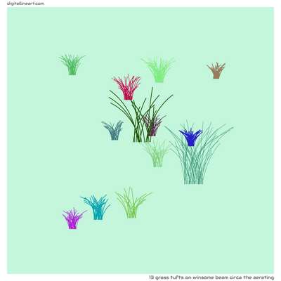 Winsome Beam circa the Aerating — 13 grass tufts