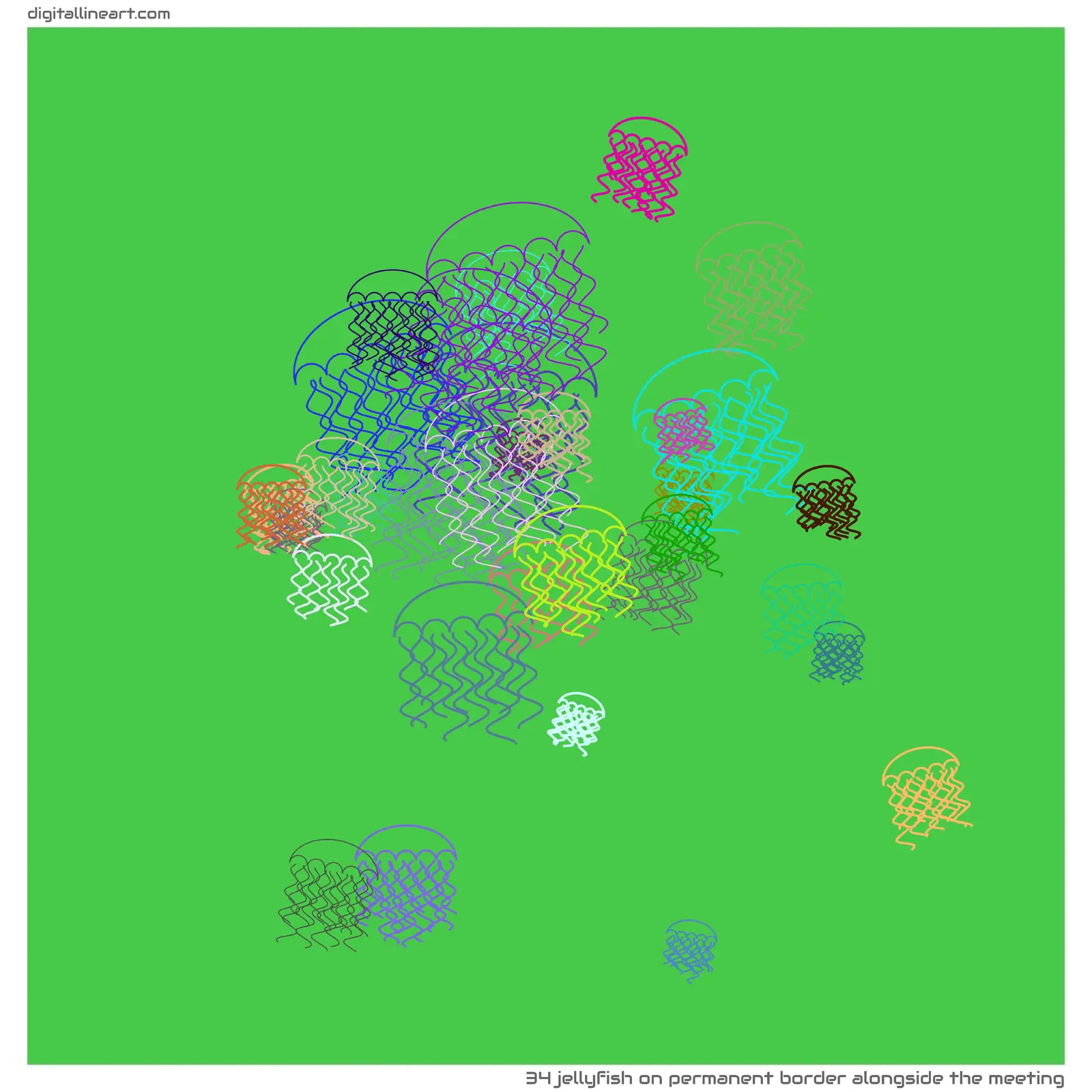 Permanent Border alongside the Meeting — Jellyfish, 34 elements