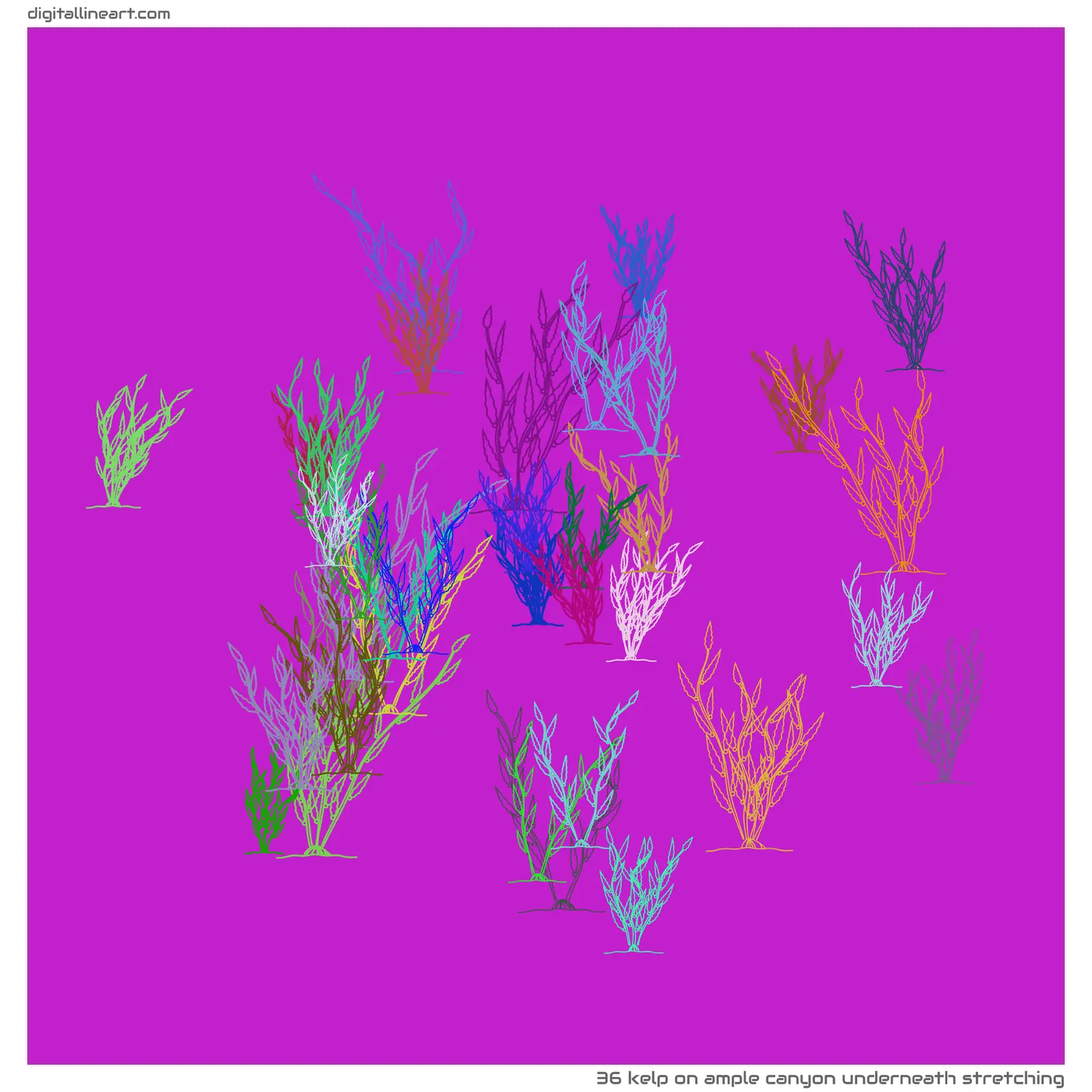 Ample Canyon underneath Stretching — Kelp, 36 elements