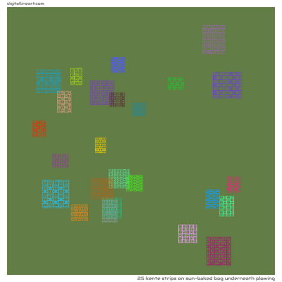 Sun-baked Bog underneath Plowing — 25 kente strips