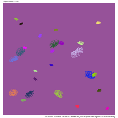 What the Canyon opposite Sagacious Depositing — 25 Klein bottles