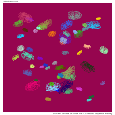 What the Full-bodied Bay Since Tracing — 56 Klein bottles