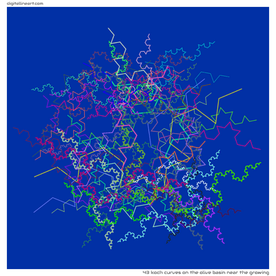 43 Koch Curves in The Olive Basin near the Growing