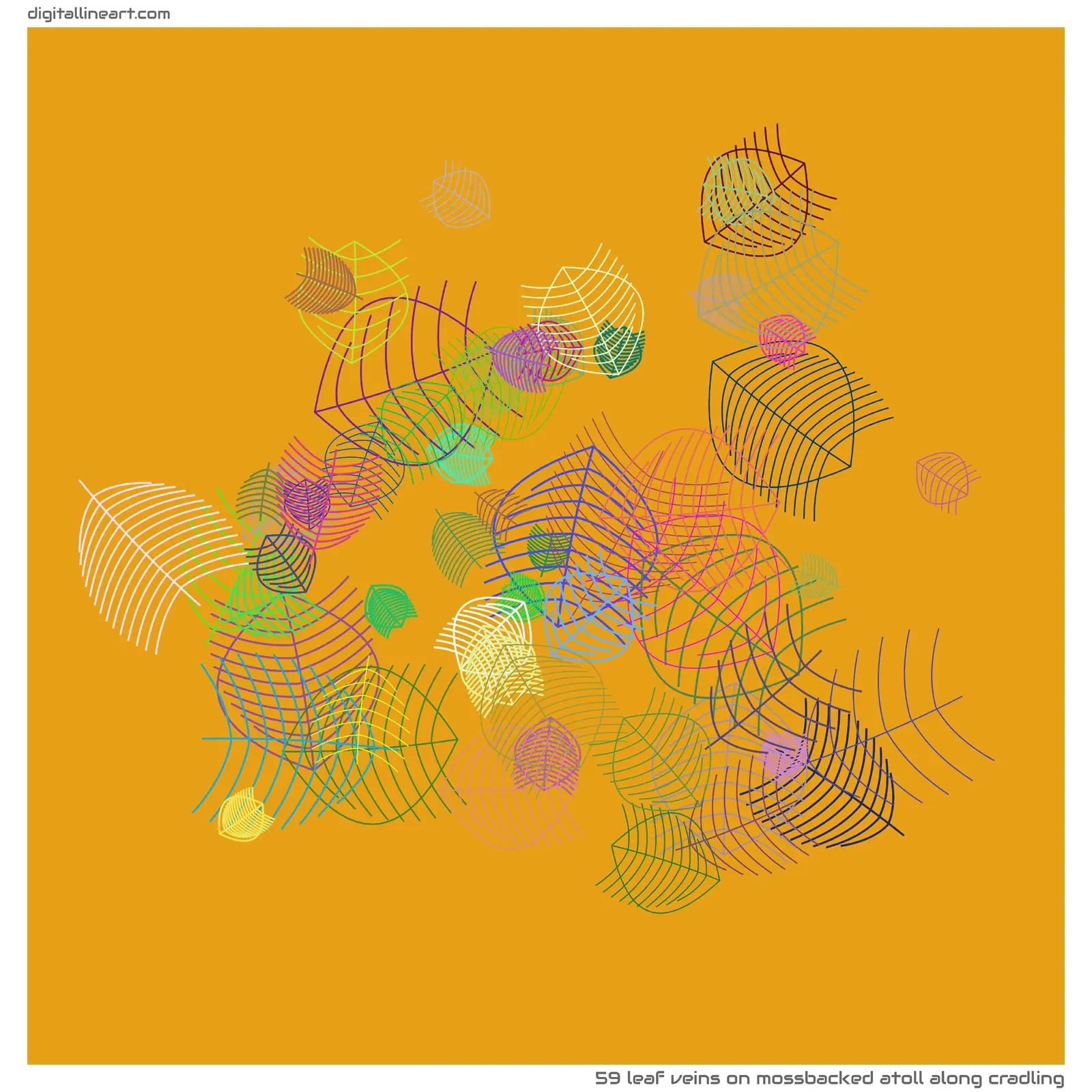Mossbacked Atoll along Cradling — 59 leaf veins