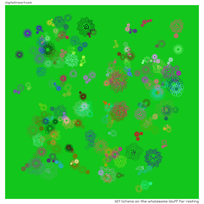 The Wholesome Bluff for Resting — 127 lichens