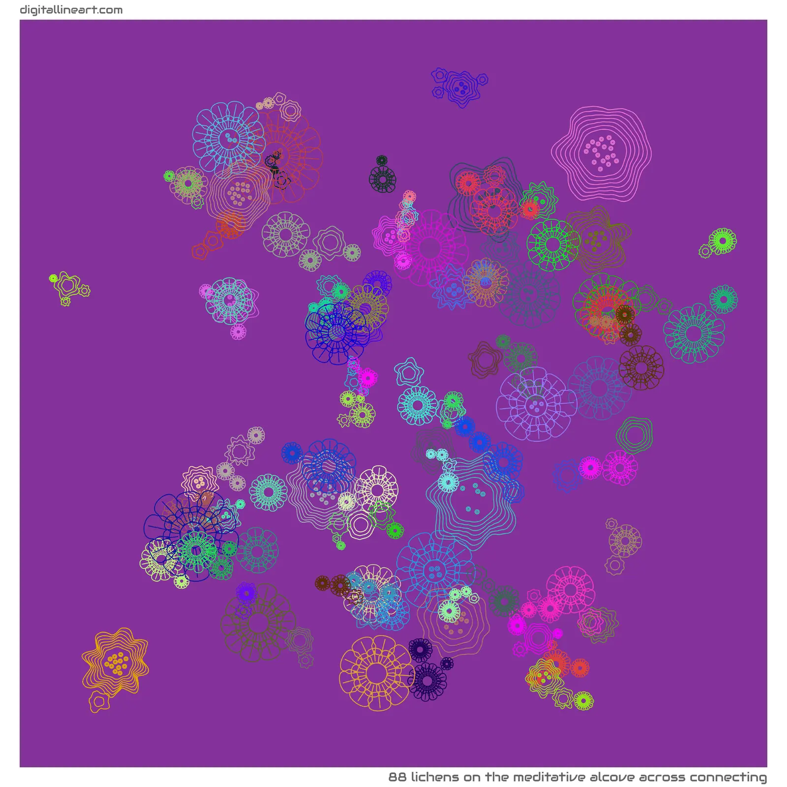 The Meditative Alcove across Connecting — 88 lichens
