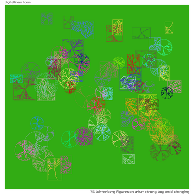 What Strong Bog amid Changing — 75 lichtenberg figures