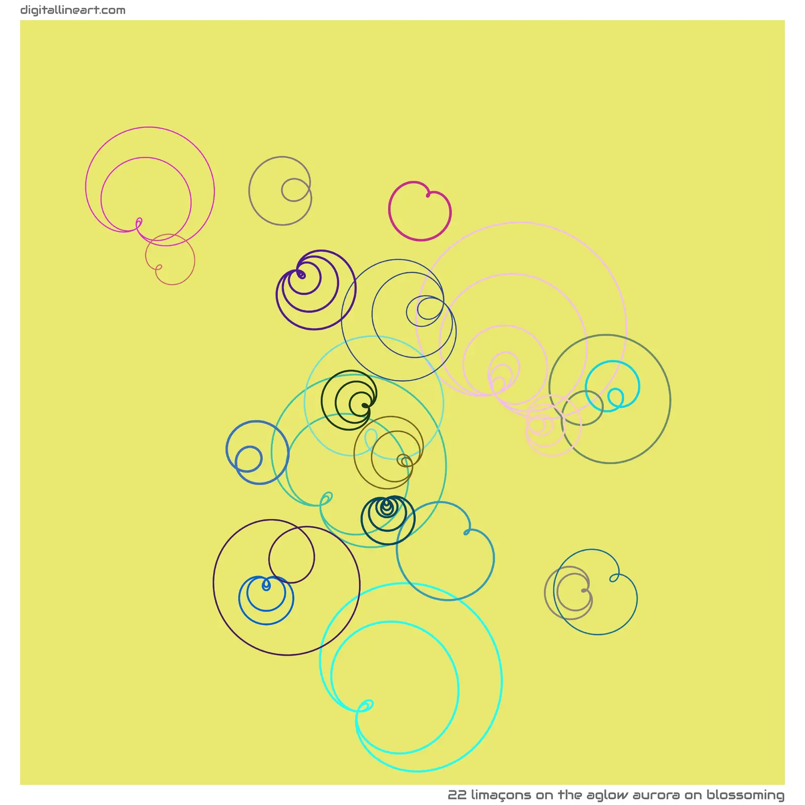 The Aglow Aurora on Blossoming — 22 limaçons
