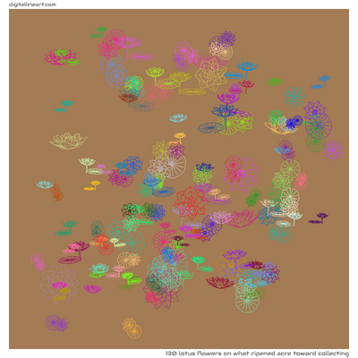 What Ripened Acre toward Collecting — 130 lotus flowers