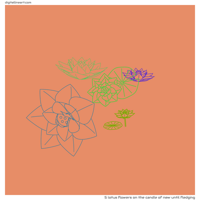 The Candle of New until Fledging — 5 lotus flowers