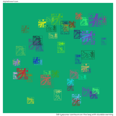 The Bog with Durable Earning — 50 lyapunov contours