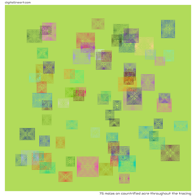 Countrified Acre throughout the Tracing — 75 molas
