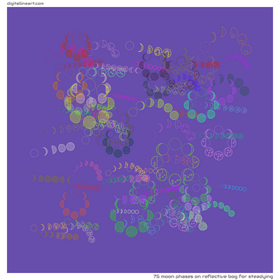 Reflective Bog for Steadying — 75 moon phases