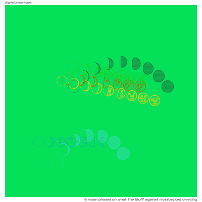 What the Bluff Against Mossbacked Dwelling — 6 moon phases