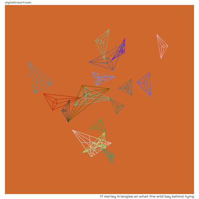 What the Wild Bay behind Tying — 17 morley triangles