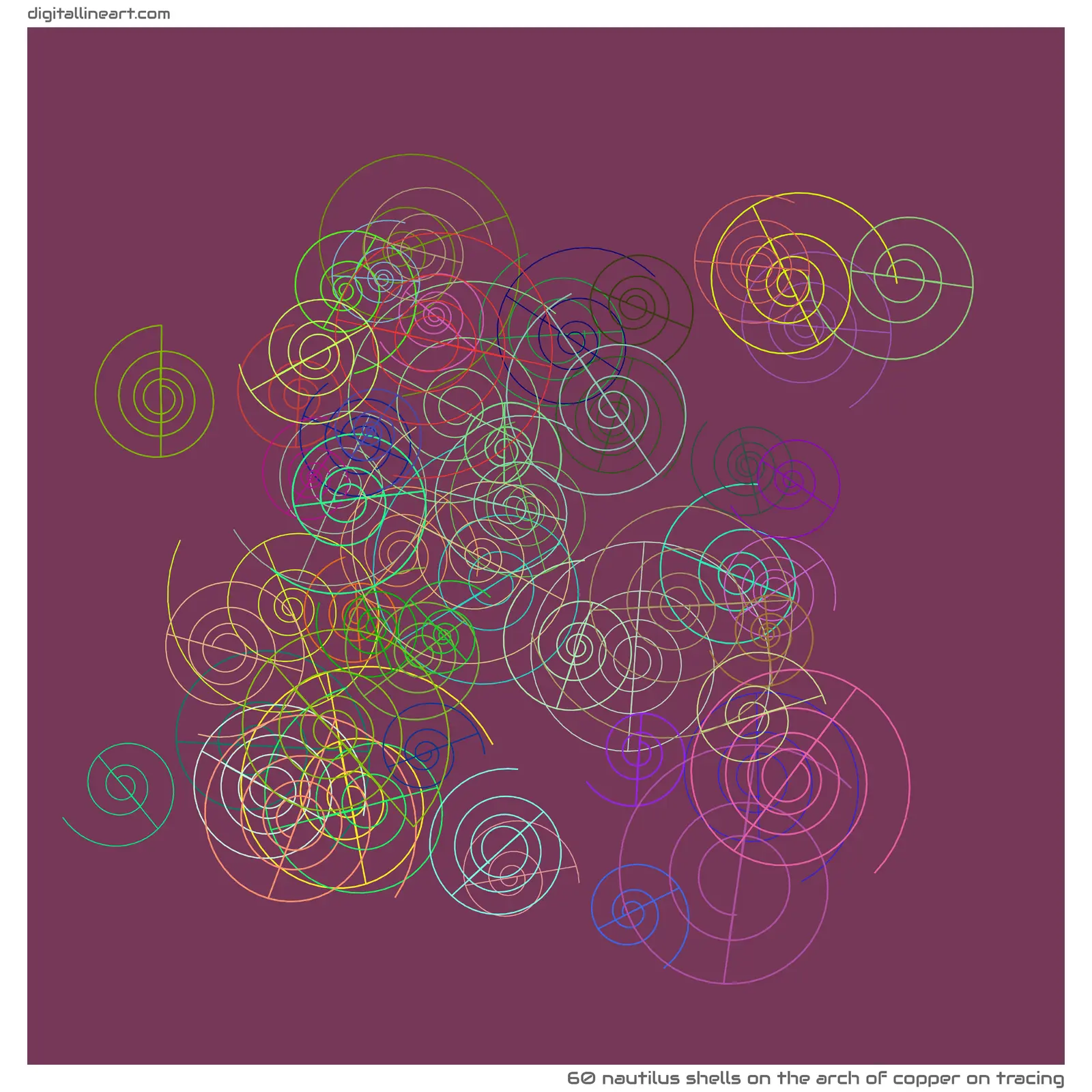 The Arch of Copper on Tracing — 60 nautilus shells