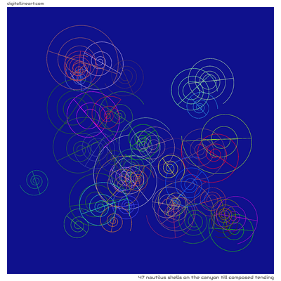 The Canyon till Composed Tending — 47 nautilus shells