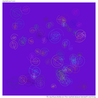 The Rooted Alcove beneath Working — 75 nautilus shells