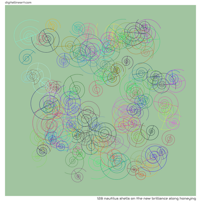The New Brilliance along Honeying — 128 nautilus shells