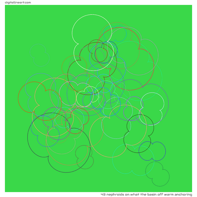 What the Basin off Warm Anchoring — 43 nephroids