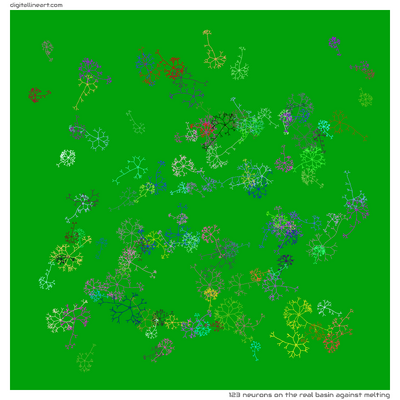 The Real Basin Against Melting — 123 neurons