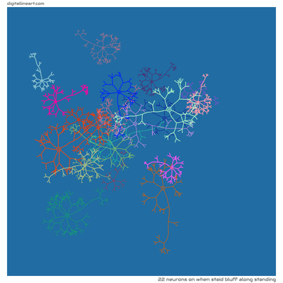 When Staid Bluff along Standing — 22 neurons