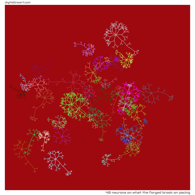 What the Forged Brook on Pacing — 40 neurons