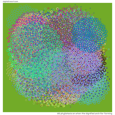 85 Phyllotaxis in When the Dignified Arch for Forming