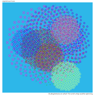 12 Phyllotaxis in What the Arch atop Subtle Spinning
