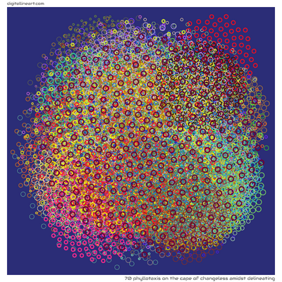 70 Phyllotaxis in The Cape of Changeless amidst Delineating