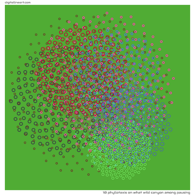 10 Phyllotaxis in What Wild Canyon among Pausing
