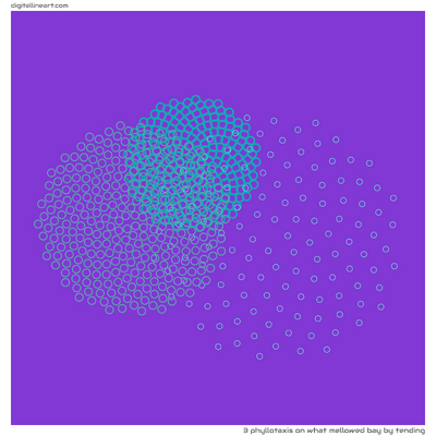 3 Phyllotaxis in What Mellowed Bay by Tending