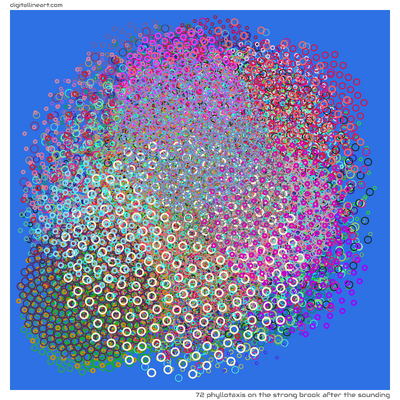 72 Phyllotaxis in The Strong Brook after the Sounding