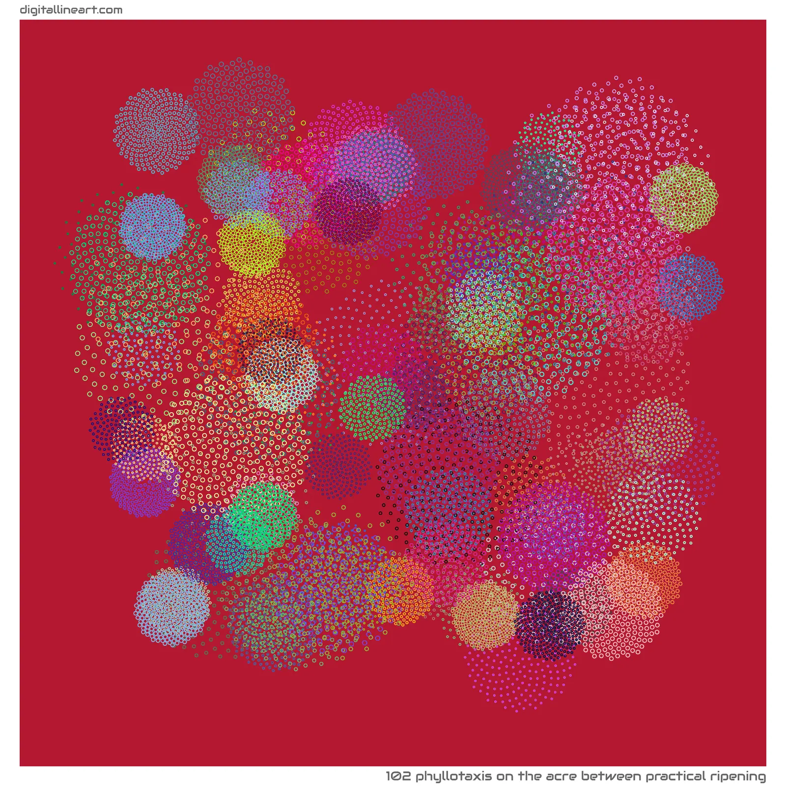 The Acre between Practical Ripening — Phyllotaxis, 102 elements