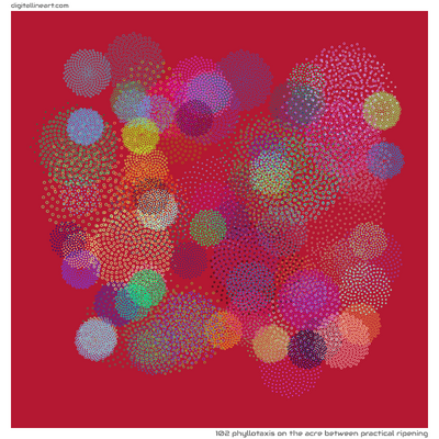 The Acre between Practical Ripening — Phyllotaxis, 102 elements