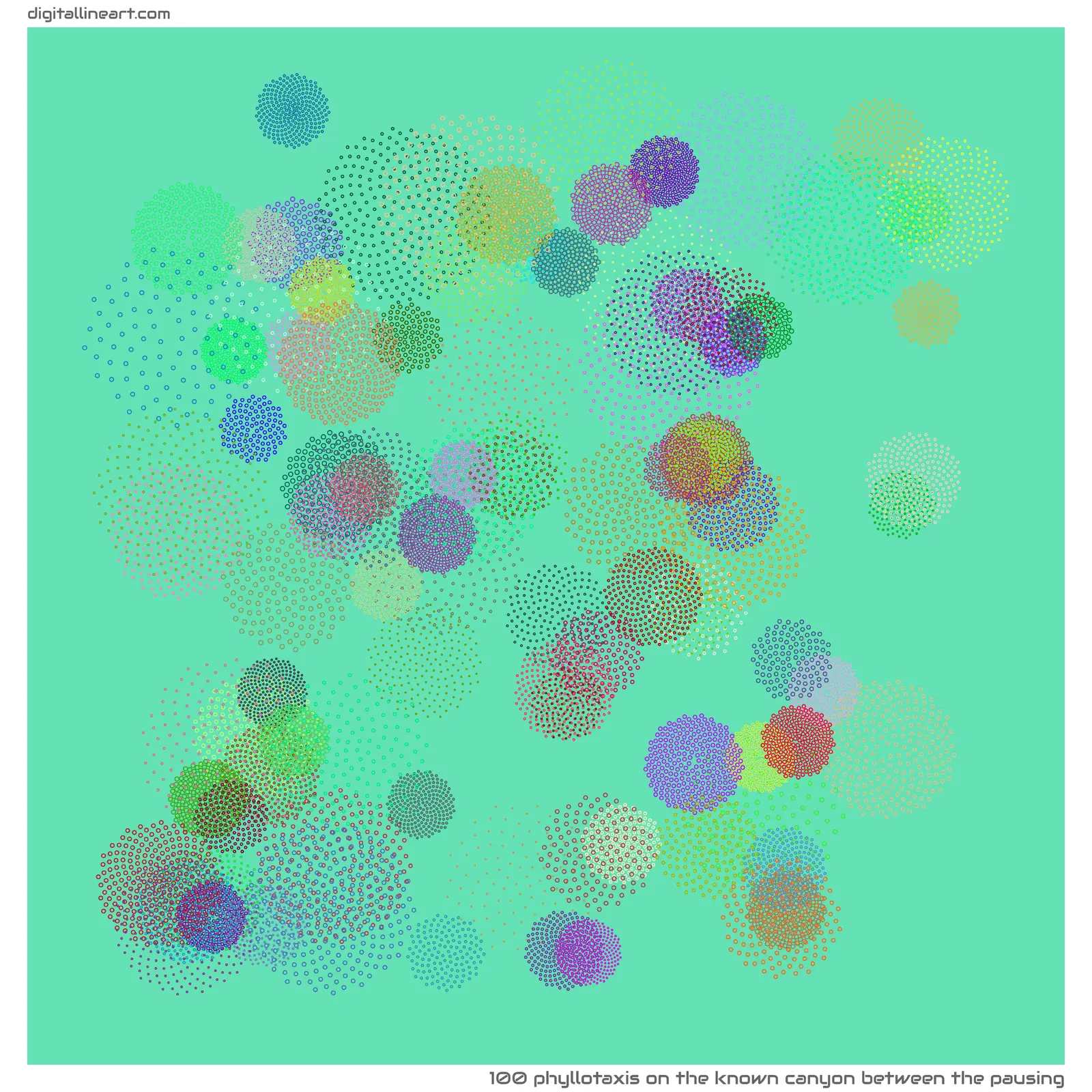 The Known Canyon between the Pausing — Phyllotaxis, 100 elements