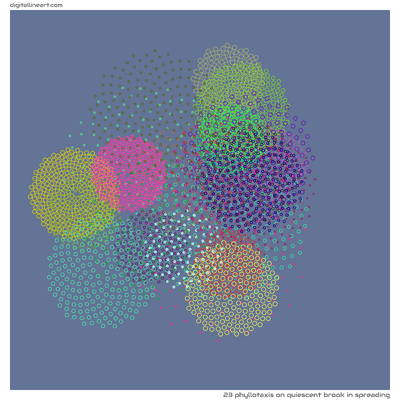 Quiescent Brook in Spreading — Phyllotaxis, 23 elements