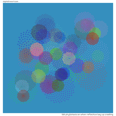 When Reflective Bay up Cradling — Phyllotaxis, 50 elements