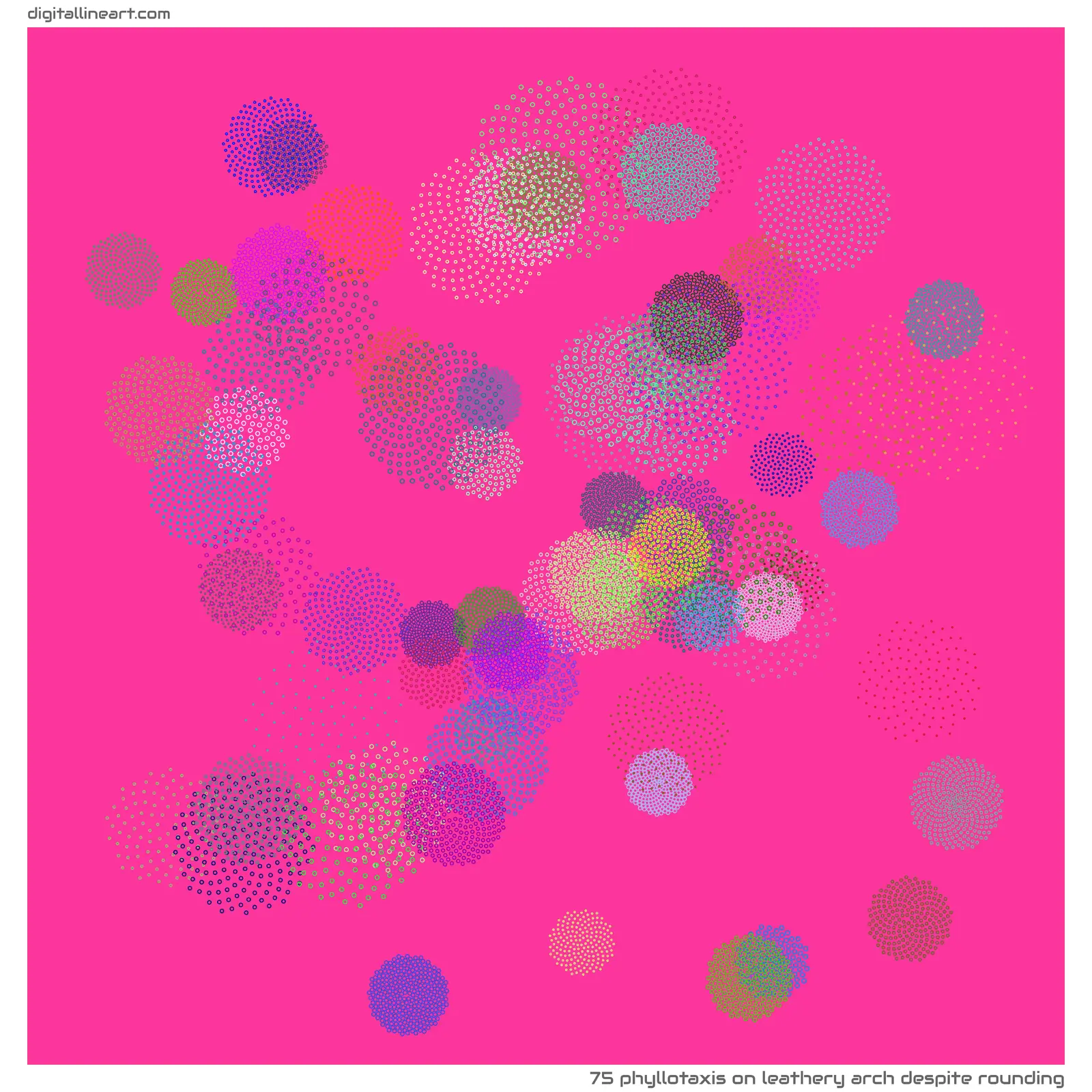 Leathery Arch despite Rounding — Phyllotaxis, 75 elements
