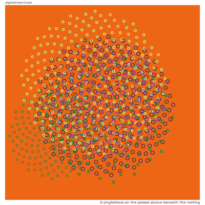The Poised Alcove beneath the Resting — Phyllotaxis, 5 elements